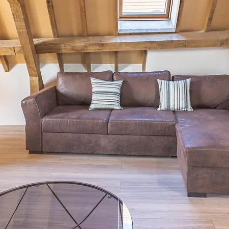 Lion's Crown Loft - Hypercentre - 6 Pers. * Troyes