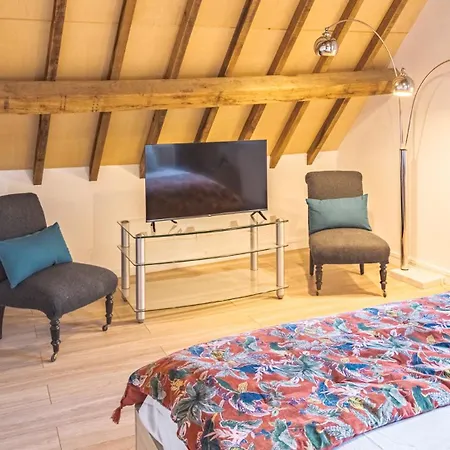 Apartment Lion's Crown Loft - Hypercentre - 6 Pers