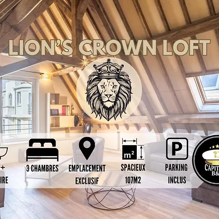 Lion's Crown Loft - Hypercentre - 6 Pers Apartment